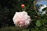 A Shropshire Lad