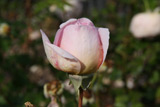 Abraham Darby